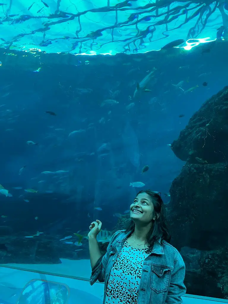 All You Need to Know About Singapore Aquarium –  Singapore Aquarium Ticket, Time, Worth or Not, When to Visit 