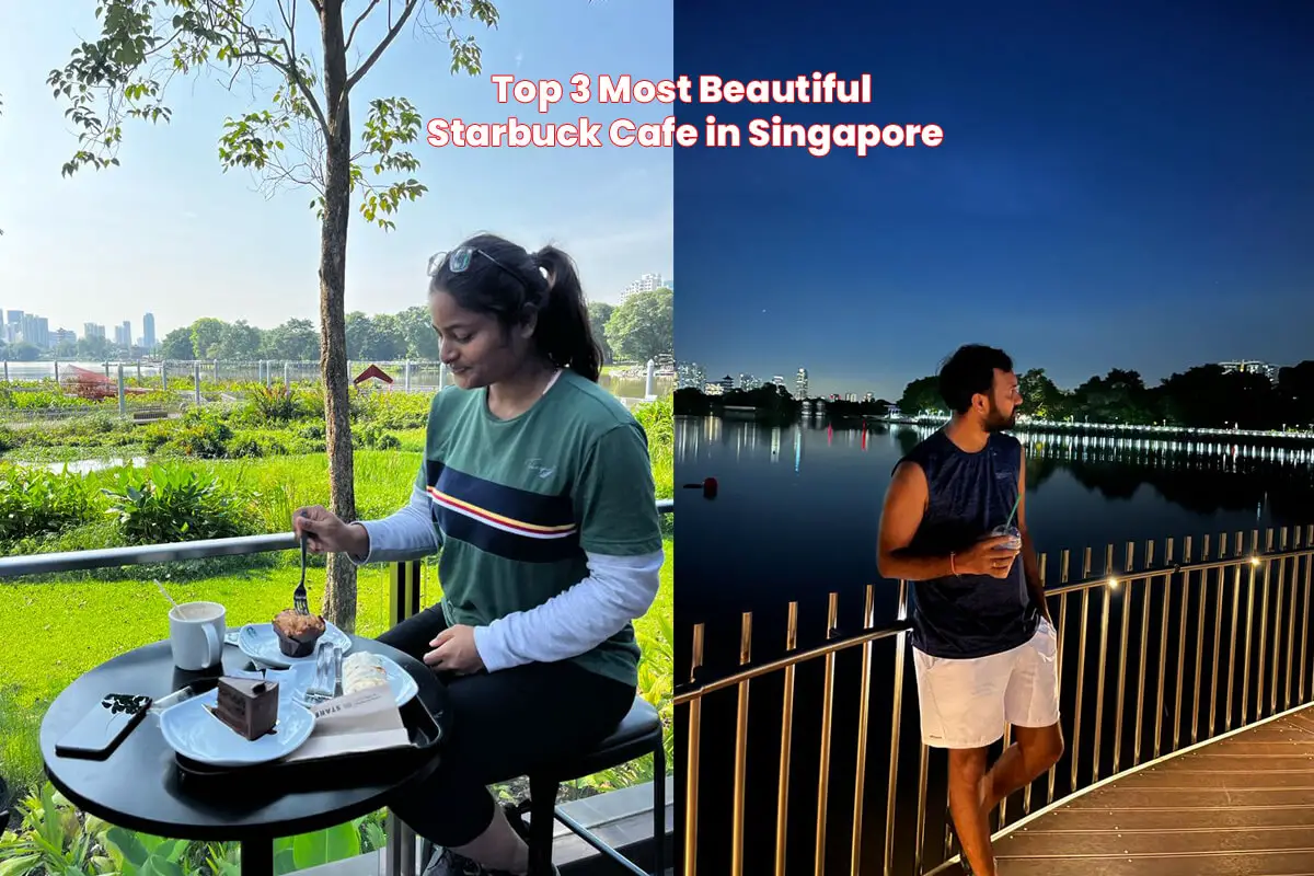 Top 3 Most Beautiful Starbuck Cafe in Singapore