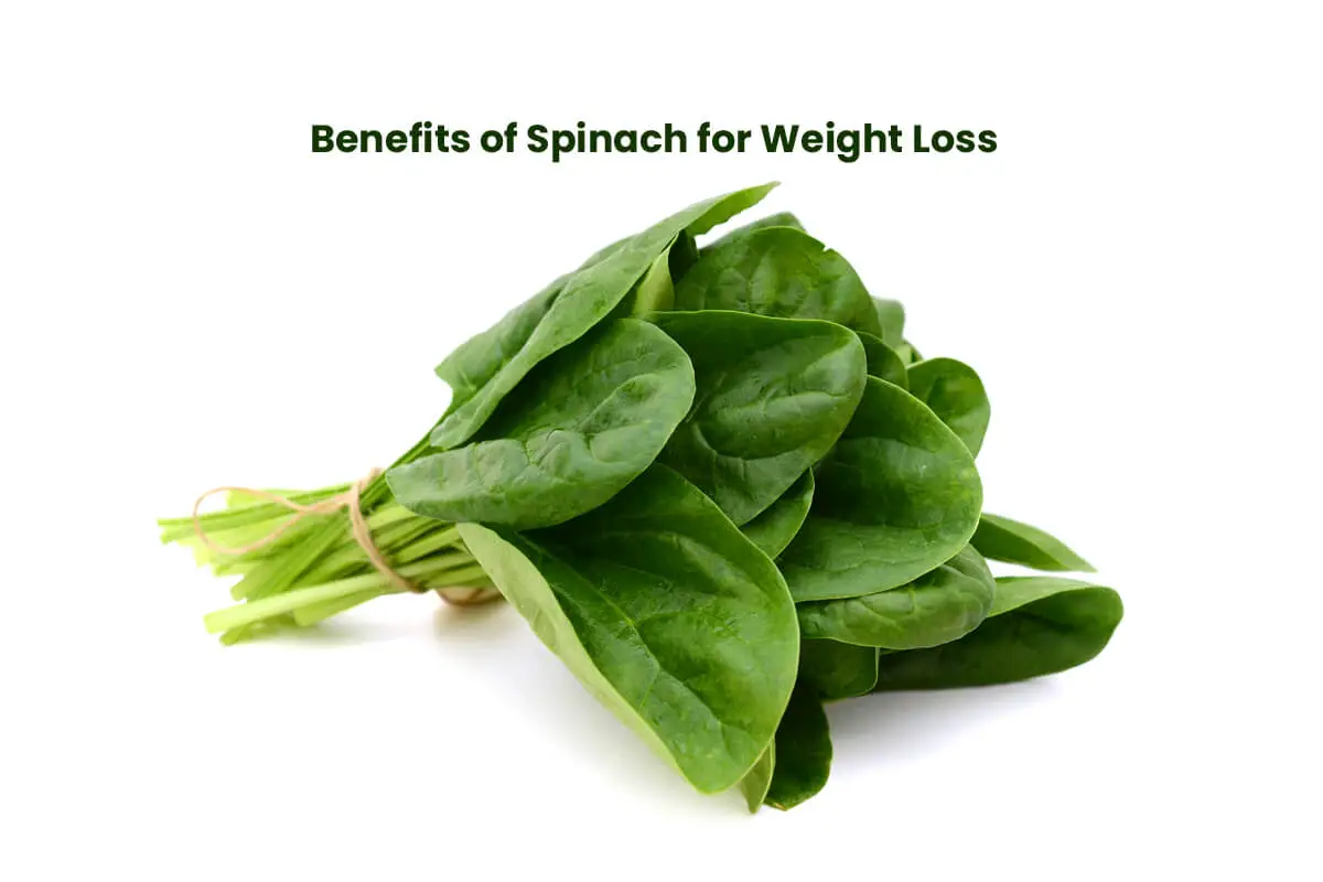 How Spinach Helps to Reduce Weight – Benefits of Spinach for Weight Loss