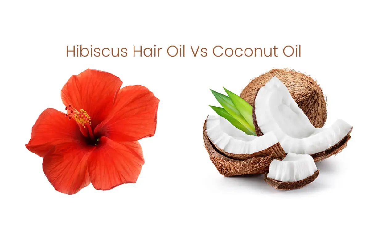 Hibiscus Hair Oil Vs Coconut Oil – Which Oil Is Good for Hair