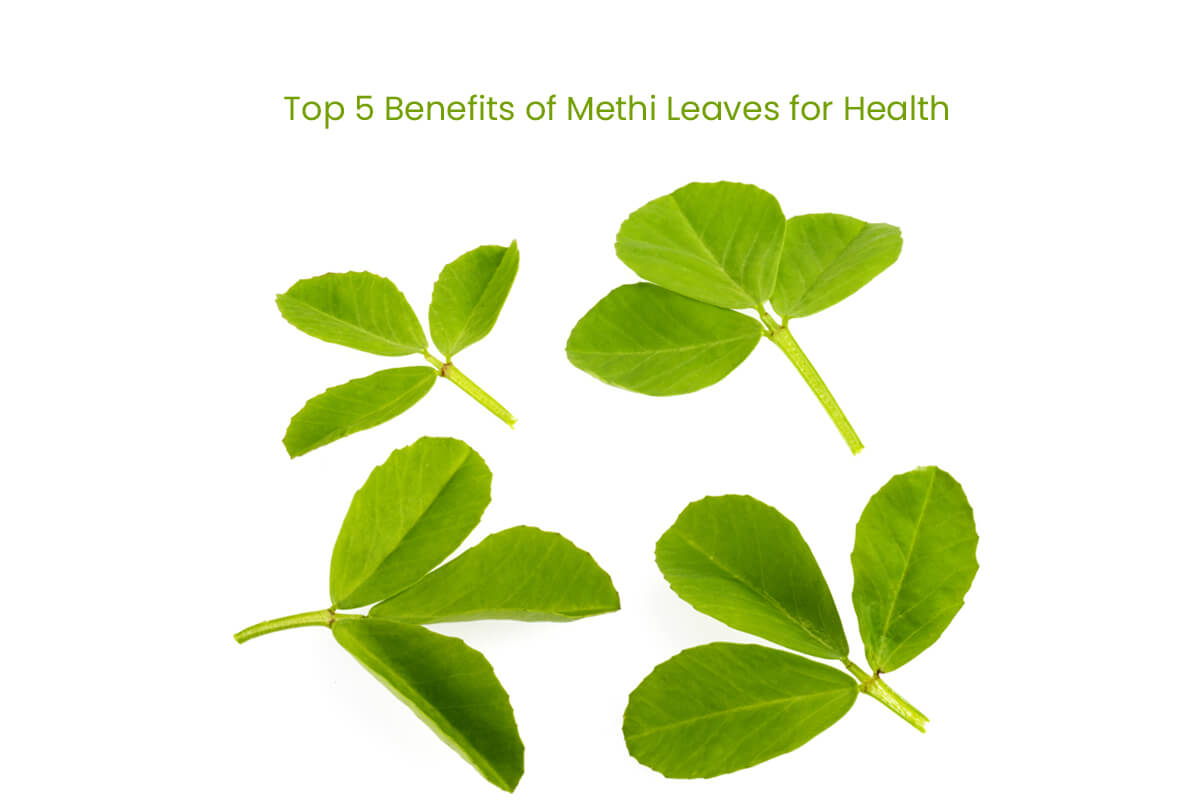 Top 5 Benefits of Methi Leaves for Health