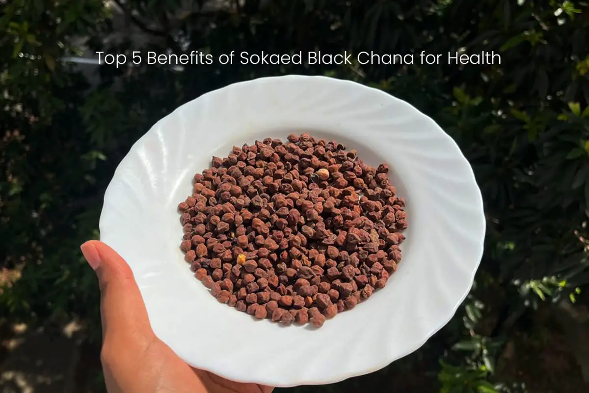 Top 5 Benefits of Sokaed Black Chana for Health 