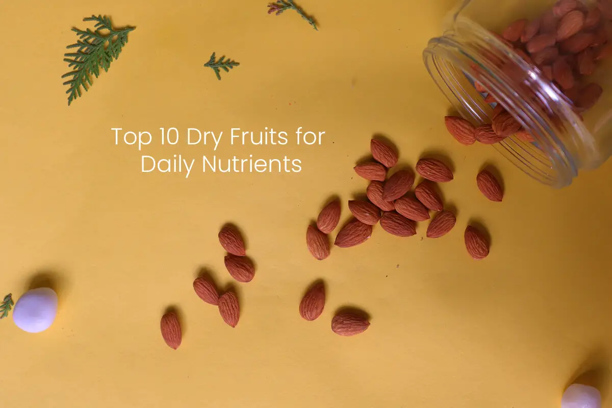 Eat these Top 10 Dry Fruits for Daily Nutrients