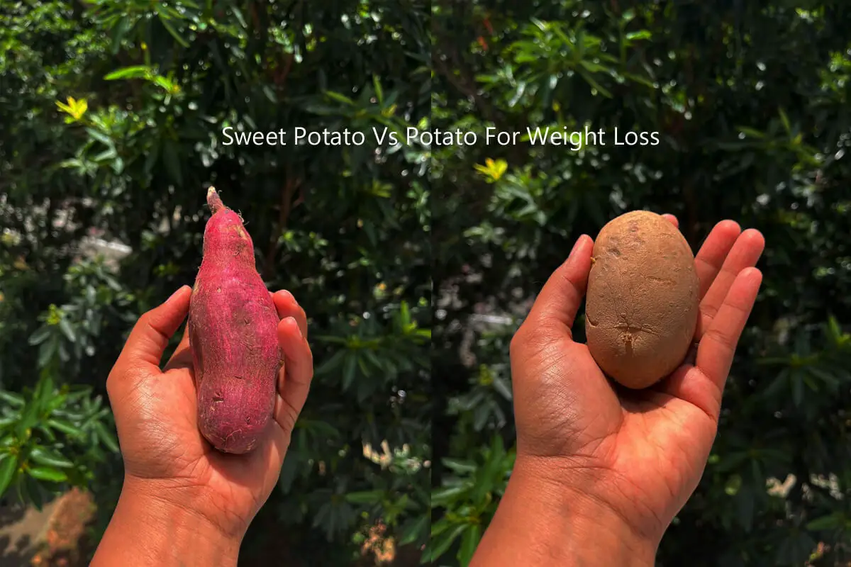 Sweet Potato Vs Potato For Weight Loss