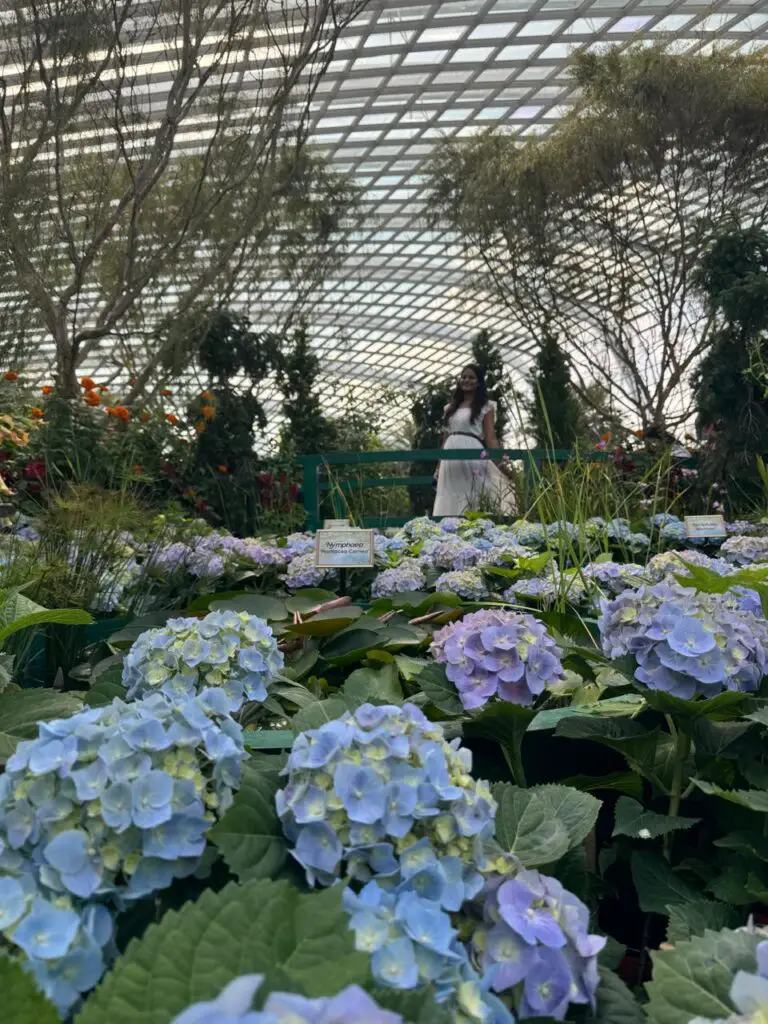 Impressions_Of_Monet_Flower_Dome