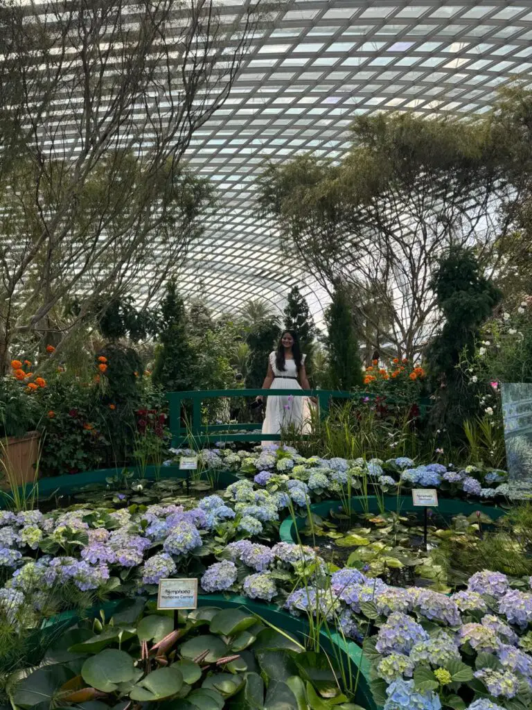 Impressions_Of_Monet_Flower_Dome